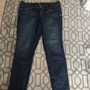 Torrid Size 20R Skinny Jean